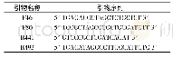 《表1 ALDH2引物序列》