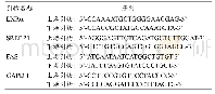表1 RT-PCR检测肝组织LXRα、SREBP-1及FAS mRNA表达的引物序列