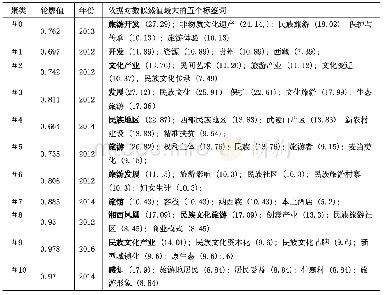 表2 2010—2019国内民族旅游文献聚类群分析