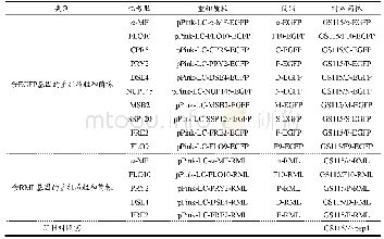 《表2 本文构建的重组质粒和菌株》