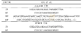 表1 单增李斯特菌RT-LAMP及RT-PCR引物序列