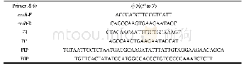 表1 本研究所用引物序列