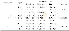 表3 去云雾影像定量分析结果Table 3 Quantitative analysis results of the effect images for removal of cloud and haze