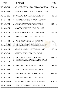 《表1 RHAG基因10个外显子的特异性扩增引物》