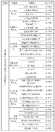 表6 井工煤矿专项安全风险辨识评估体系指标权重