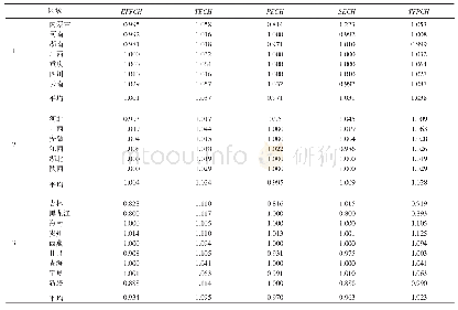 表6 2013～2017年不同区域扶贫资金投资效率变化指数