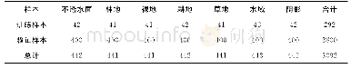 表2 分类采用的训练样本及精度验证样本数
