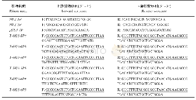 表1 引物序列Tab.1 Primer sequences
