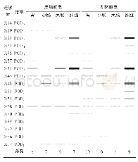 表1 2种鼠POD谱带：黑线姬鼠和大林姬鼠消化系统中过氧化物酶的比较分析