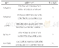 表1 基因表达分析引物序列