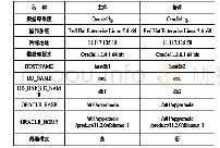 表1 Data Guard测试环境