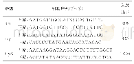 《表1 大肠埃希菌毒力相关基因fim、usp、hlyA的引物序列》
