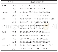 《表1 q RT‐PCR引物列表》