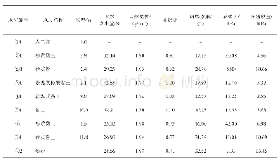 表1 实验测试视频信息：基坑开挖引起邻近桩板路基的变形及分区