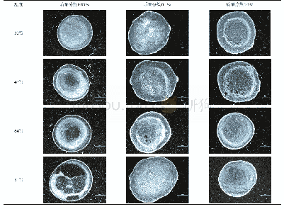 《表1 纳米流体完全蒸发后得到的沉积图案 (粒子粒径为20nm, 质量分数分别为0.05%、0.1%和0.2%, 底板温度分别为30℃、47℃、64℃和81℃)》