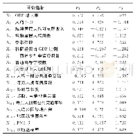 表4 全局主成分因子载荷矩阵