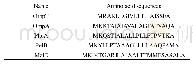 《表2 Sec途径信号肽序列》