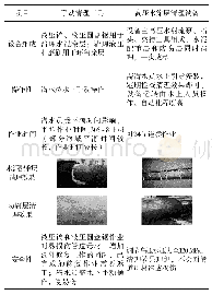 《表3 手动清理工具和高压水涂层清理设备能力对比》