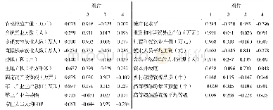 表3 旋转载荷矩阵：基于因子分析的杭州乡村旅游发展动力系统研究