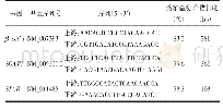 表1 β-actin与目的基因的PCR引物序列及产物