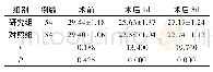 表1 两组不同时间点MMSE评分比较(±s，分)