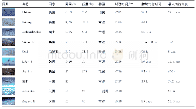 表1 太阳能无人机设计参数及试飞数据