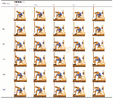 表1 3 不同颈部角度下假人的动态响应