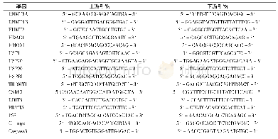表2 基因定量引物序列：DNMT3B基因对猪睾丸支持细胞迁移及下游相关基因表达的影响