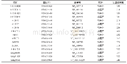 《表2 拟南芥、玉米、水稻、番茄、大豆、小麦、大麦基因信息》