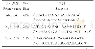 表1 SSR引物名称和序列