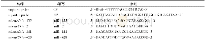 《表1 本试验所用序列：标记探针法用于microRNA的多重可视化检测》