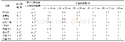 表4 不同苜蓿品种侧根数和分布