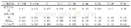 《表4 评价指标权重计算结果》