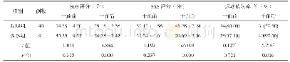 表2 两组患者焦虑、抑郁情绪评分、运动依从率比较