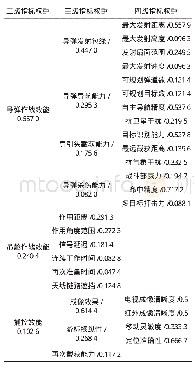 《表1 权重结果表：改进ADC-云模型在空地导弹武器系统效能评估中的应用》