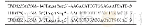 《表2 沉默质粒靶向序列Tab.2 Silent plasmid targeting sequence》