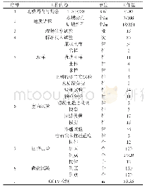 《表1 主要工作内容及工作量》