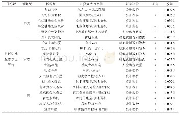 表2 基于PSR模型的耕地生态安全评价体系