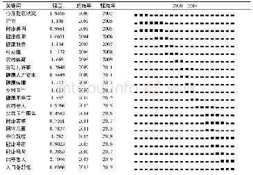 表2 国内健康乡村研究热点词突现表