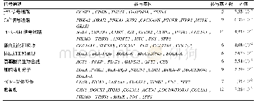 《表2 差异表达基因KEGG pathway分析结果》