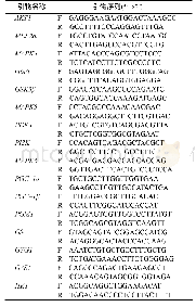 《表1 m RNA荧光定量引物序列》