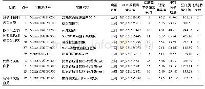 表1 从SC8种茎鉴定的17个差异表达蛋白质的相关信息