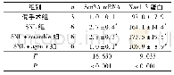 《表4 各组大鼠术侧脊髓背角组织中Scn3A mRNA和Nav1.3蛋白的表达》