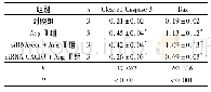 表2 各组心肌细胞中Cleaved Caspase-3和Bax蛋白表达水平比较