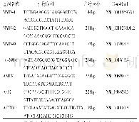 《表1 引物序列：小檗碱抑制体外培养的人翼状胬肉成纤维细胞迁移能力的机制研究》
