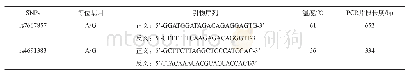 表3 PDGF-C SNPs位点PCR引物序列、温度及产物片段长度