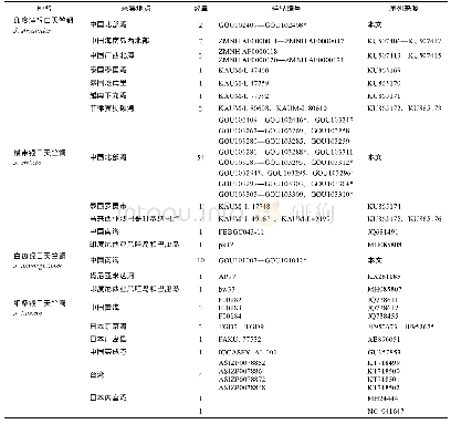 表1 银口天竺鲷属鱼类采集信息与COI序列信息