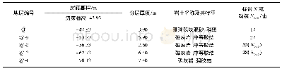 表2 BHS21-1地质钻孔土层情况及描述