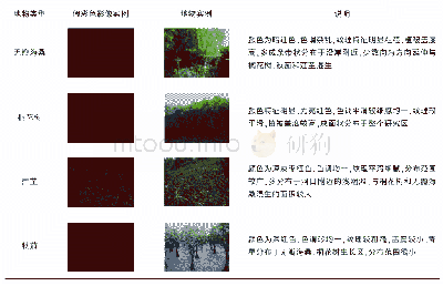 《表1 影像解译标志：基于国产高分遥感的人工种植红树林种间分类方法研究——以广西茅尾海红树林为例》
