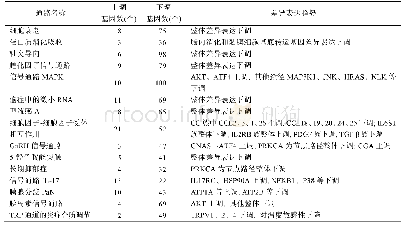 表7 黄颡鱼摄食无鱼粉日粮后肝胰脏转录组显著差异表达基因的KEGG pathway分类结果